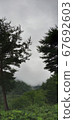 A brief lull in the rain causes fog to cover the sky. 67692603