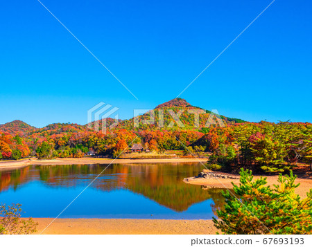 Autumn leaves of Arima Fuji Park Autumn leaves of Arima Fuji Park 67693193