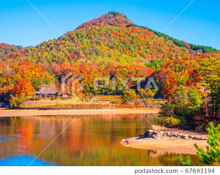 Autumn leaves of Arima Fuji Park Autumn leaves of Arima Fuji Park 67693194