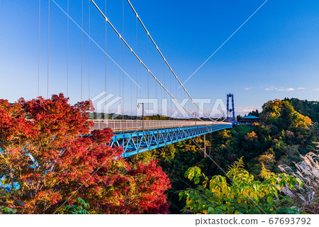 (Ibaraki Prefecture) Ryushin Daisenbashi Autumn leaves 67693792
