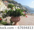 Amalfi 67694813