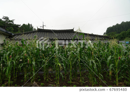 Daloreum Village, Inwol-myeon, Namwon-si, Jeollabuk-do, Korea Daloreum Village, Inwol-myeon, Namwon-si, Jeollabuk-do, Korea 67695480