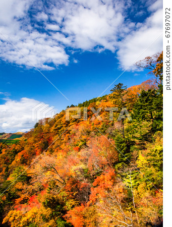 阿蘇山脈的秋葉和藍天。讓我們在背景中有一個生動的彩色風景。 67697072