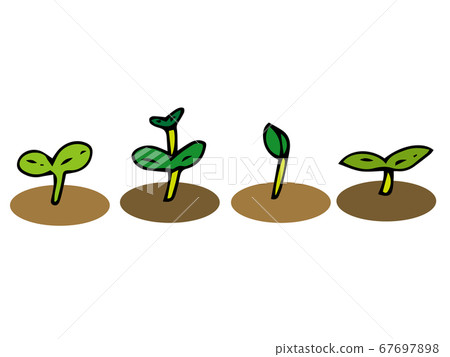 Various buds Various buds 67697898