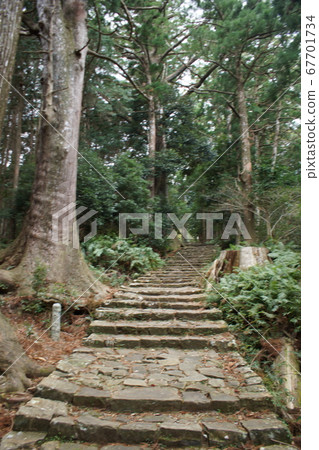Kumano Kodo Nakaheji Daimonzaka 67701734