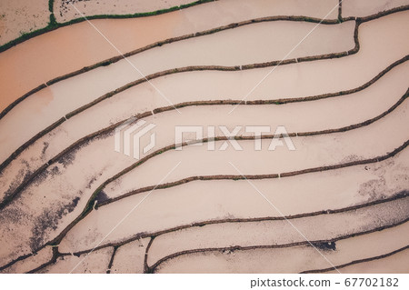 Rice fields Water in rice fields before planting 67702182