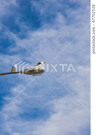 Gunsan Seonyudo road summer vacation beach, sea, Saemangeum, Seonyudo beach, port, island Gunsan Seonyudo road summer vacation beach, sea, Saemangeum, Seonyudo beach, port, island 67702526