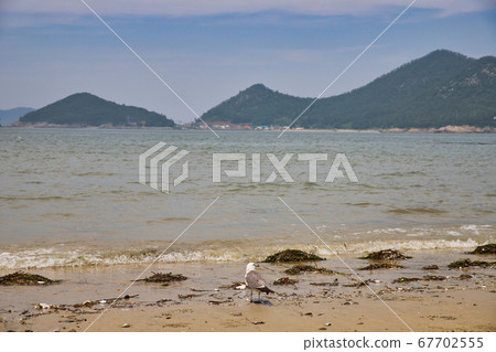 群山仙遊島路暑假海灘,大海,Saemangeum,仙遊島海灘,港口,島嶼 群山仙遊島路暑假海灘,大海,Saemangeum,仙遊島海灘,港口,島嶼 67702555