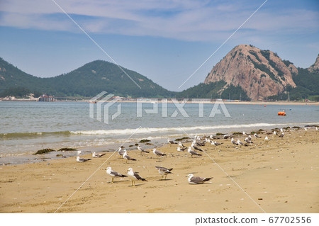 群山仙遊島路暑假海灘,大海,Saemangeum,仙遊島海灘,港口,島嶼 群山仙遊島路暑假海灘,大海,Saemangeum,仙遊島海灘,港口,島嶼 67702556