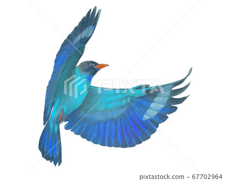 Flapping butterflies with real touch 67702964