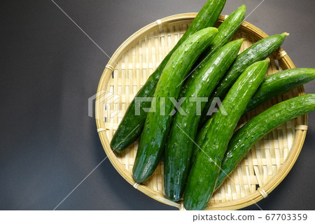 Cucumber cucumber Cucumber cucumber 67703359