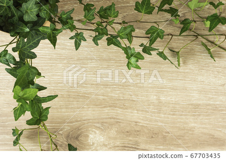 植物和木紋的背景材料。常春藤框架材料 67703435