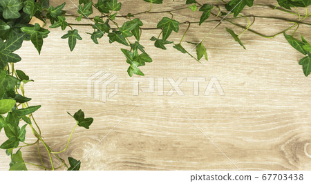 Background material of plants and wood grain. Ivy frame material 67703438