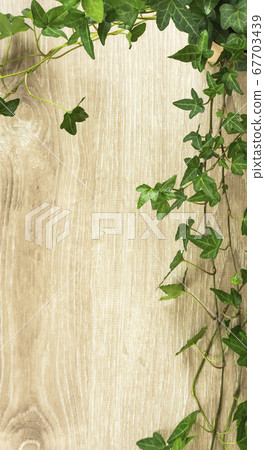 Background material of plants and wood grain. Ivy frame material Background material of plants and wood grain. Ivy frame material 67703439