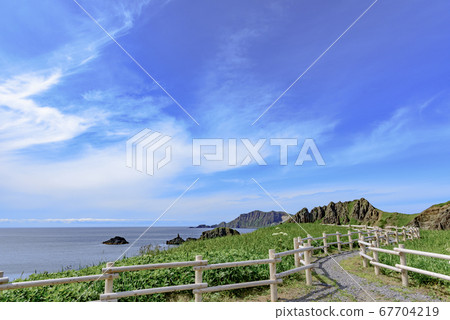 Hokkaido Rebun Island, Cape Sumiumi 67704219