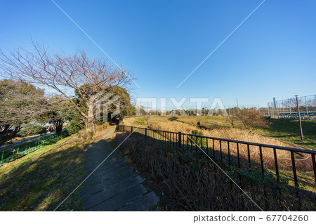 夢之島公園，攝於2018年1月 67704260