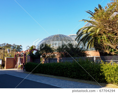 夢之島公園，攝於2018年1月 67704294