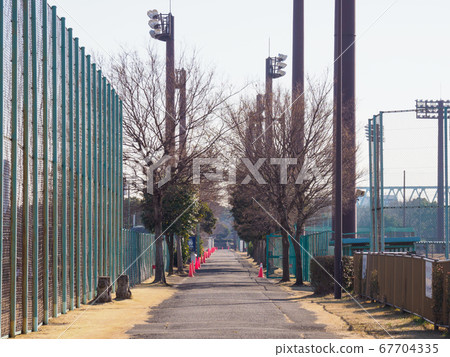 Yumenoshima Park, taken in January 2018 67704335