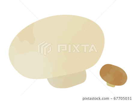 蘑菇圖 蘑菇圖 67705031