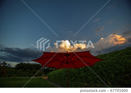 dinner dinner 67705800