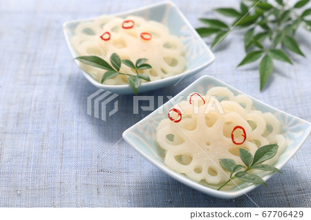 Vinegared vinegar lotus root 67706429