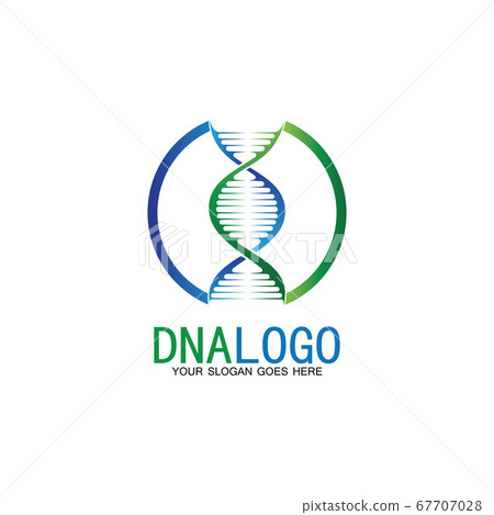 DNA vector logo design template.modern medical 67707028