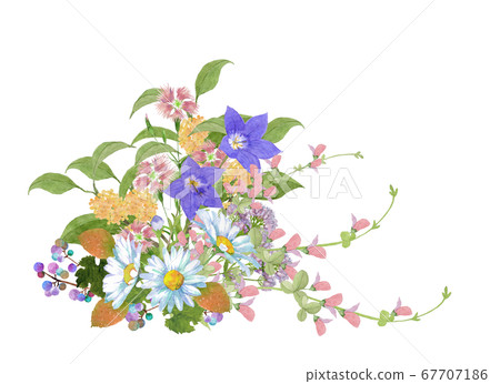水彩秋花花束 水彩秋花花束 67707186