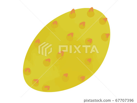 Kiwano illustration 67707396