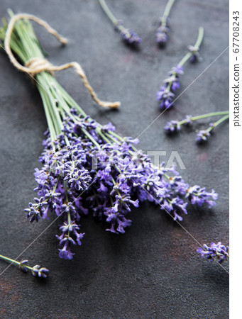 Lavender bouquet on a black background 67708243