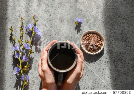 Chicory drink and flowers. Healthy herbal beverage, coffee substitute. Top view. 67708808