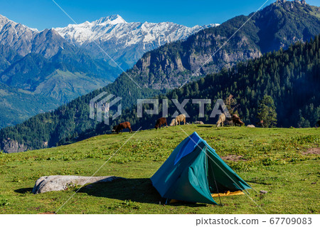 Camp in mountains. Kullu Valley, Himachal Pradesh, India Camp in mountains. Kullu Valley, Himachal Pradesh, India 67709083