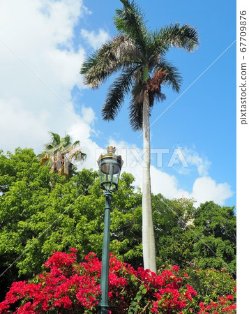 哈瓦那市容 67709876