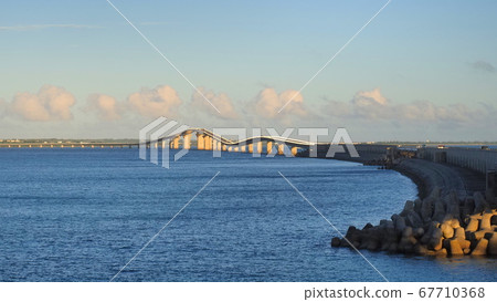 Irabu Ohashi 8 67710368