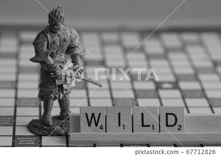 Folding WILD 67712826