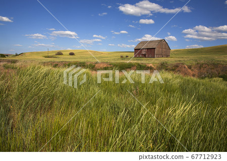 田野風光 田野風光 67712923