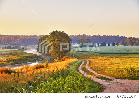 Dirt road on riverbank wild meadow in morning 67713167