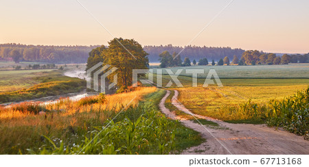Dirt road on riverbank wild meadow in morning mist Dirt road on riverbank wild meadow in morning mist 67713168