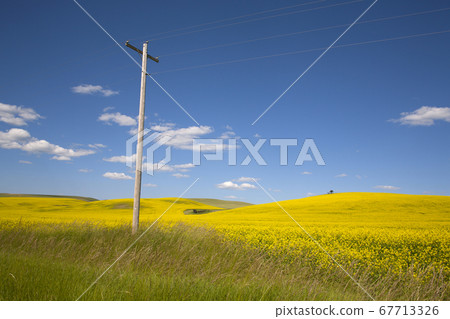 Rural landscape 67713326