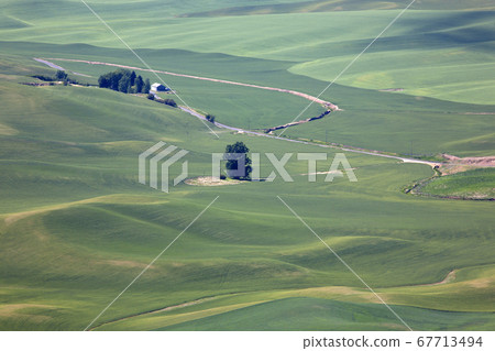 green field 67713494