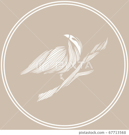 Coloring book hand drawn bird of Paradise sitting Coloring book hand drawn bird of Paradise sitting 67713568