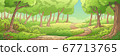 Summer Forest Landscape 67713765