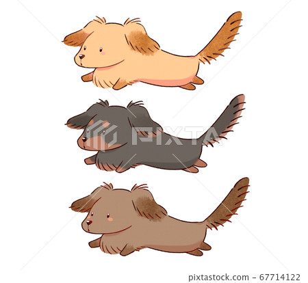 Dog running fluffy 67714122