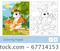 Colorful template and colorless contour image of cute bunny in a hat picking carrots in a basket in a wood. Wild animals preschool kids coloring book vector illustrations and developmental activity. 67714153