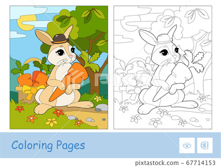 Colorful template and colorless contour image of cute bunny in a hat picking carrots in a basket in a wood. Wild animals preschool kids coloring book vector illustrations and developmental activity. 67714153
