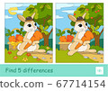 Find five differences quiz learning children game with cute bunny in a hat picking carrots in a basket in a wood. Colorful image of wild animals. Developmental activity for young children. 67714154