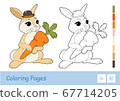 Colorful template and colorless contour image of cute rabbit holding a carrot isolated on white background. Wild animals preschool kids coloring book illustrations and developmental activity. 67714205