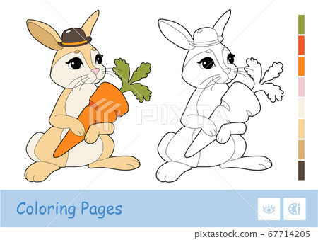 Colorful template and colorless contour image of cute rabbit holding a carrot isolated on white background. Wild animals preschool kids coloring book illustrations and developmental activity. 67714205
