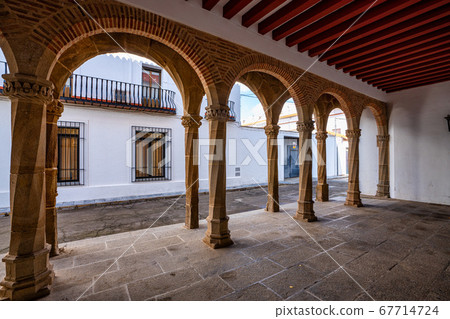 Palace of the Zapata in Llerena, Extremadura, Palace of the Zapata in Llerena, Extremadura, 67714724