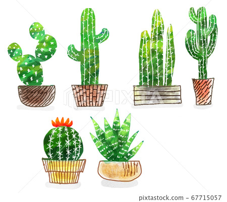 水彩手繪仙人掌集 67715057