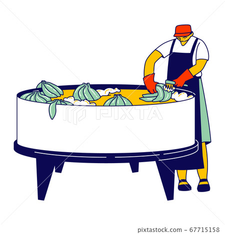 Worker in Apron Washing Collected Ripe Banana Bunches on Tropical Plantation. Labour Character Working, Care of Fruits 67715158